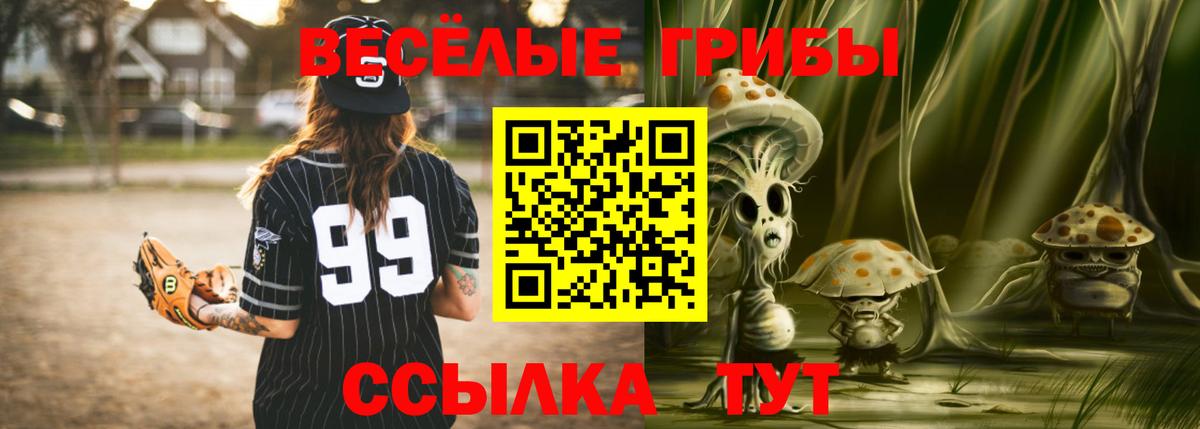 Выборг  Псилоцибиновые грибы GOLDEN TEACHER  Вход с VPN 